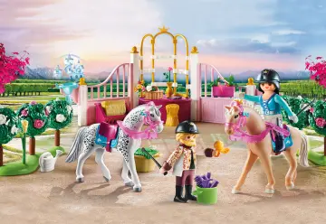 Playmobil 70450 - Lezione di equitazione della Principessa
