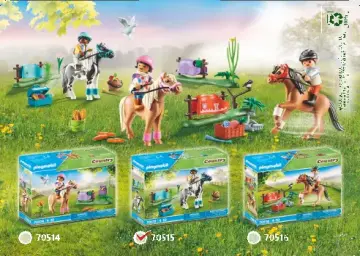 Building instructions Playmobil 70515 - Collectible Lewitzer Pony (4)
