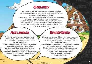 Manuales de instrucciones Playmobil 70933 - Astérix: Panorámix con el caldero de la Poción Mágica (7)