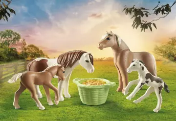Playmobil 71000 - Icelandic Ponies with Foals