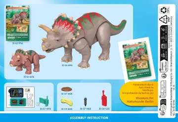 Manual de instruções Playmobil 71821 - Família de Triceratops (6)
